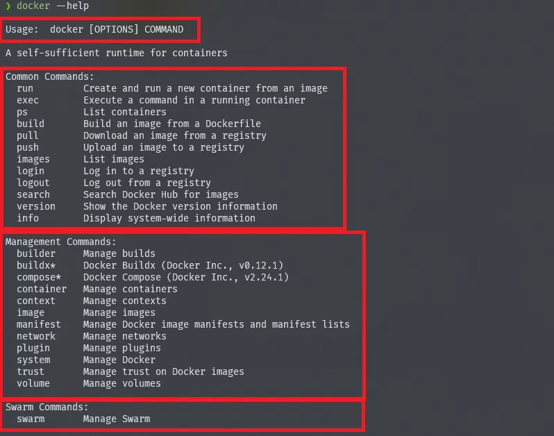docker command example1