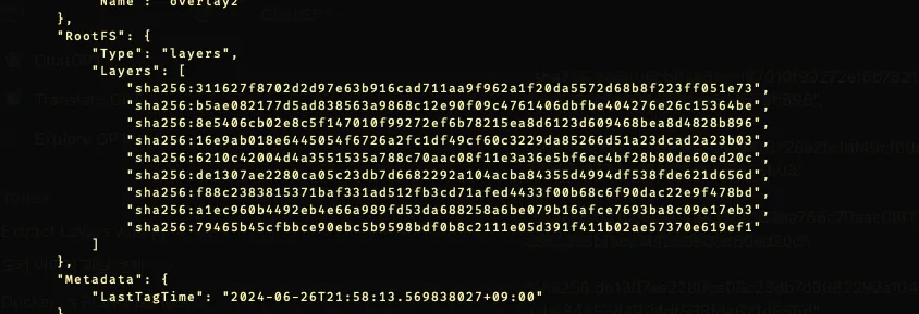 docker image layer