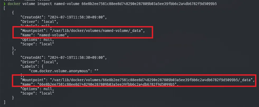 docker volume inspect