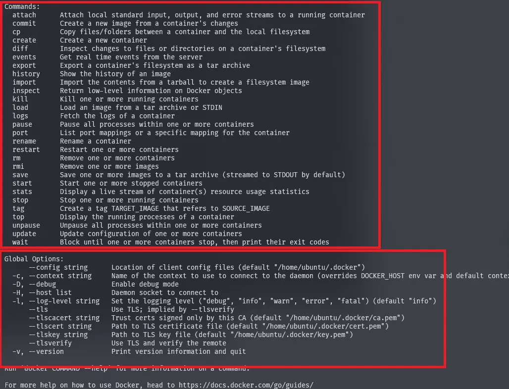 docker command example2