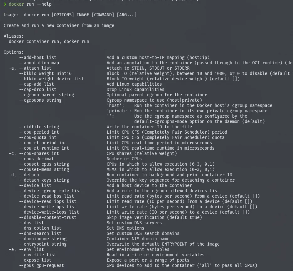 example of docker run help